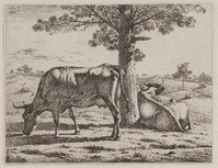 KG 07992
<br/>
Staande en liggende koe bij een boom
<br/>
<em>Troostwijk, Wouter Johannes van (1782-1810)</em>